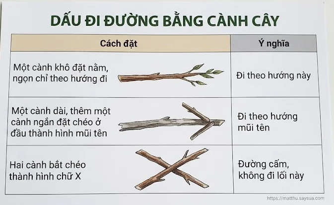 Dấu đi đường bằng cành cây
